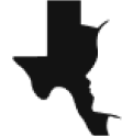 texas facial aesthetics logo black